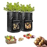 HomeFoundry 10 Gallon Potato Grow Bags – 2 Pack Portable Aeration Fabric with Hook & Loop Window Garden Planting Bags for Vegetables-Carrots-Onion & Tomato’s photo / $8.99
