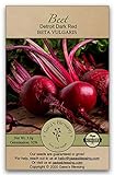 Gaea's Blessing Seeds - Beet Seeds - Detroit Dark Red Non-GMO Seeds with Easy to Follow Planting Instructions - Heirloom 92% Germination Rate 3.0g photo / $4.99