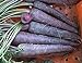photo David's Garden Seeds Carrot Purple Sun 1123 (Purple) 200 Non-GMO, Hybrid Seeds