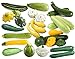 photo This is a Mix!!! 50+ Zucchini and Squash Mix Seeds 12 Varieties Non-GMO Delicious Grown in USA. Rare, Super Profilic