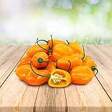 Habanero Orange 25 x Samen aus Portugal 100% Natürlich ohne Chemische Anzuchthilfe oder Gentechnik foto / 2,99 € (2,99 € / stück)