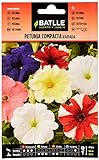 Semillas Batlle - Petunia Compacta VARIADA, Multicolor foto / 1,88 €