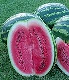 Melone - Wassermelone Crimson Sweet - 10 Samen foto / 1,70 € (1,70 € / count)