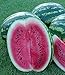 foto Melone - Wassermelone Crimson Sweet - 10 Samen