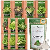 10 Heirloom Lettuce and Leafy Greens Seeds - 1500 Seeds - Non GMO Seeds for Planting - Kale, Spinach, Butter, Oak, Romaine, Iceberg, Bibb, Arugula | Hydroponic Home Vegetable photo / $15.98 ($0.01 / Count)