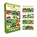 foto Gemüsesamen Set - 12 Sorten Samen - Saatgut Sortiment - Anzuchtset für Gemüsepflanzen - Geschenkset - Tomaten, Gurken, Radieschen, Zucchini, Paprika und mehr