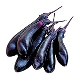 Burpee Millionaire Hybrid Eggplant Seeds 30 seeds photo / $7.27