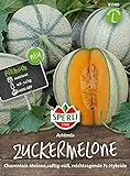 81540 Sperli Premium Zuckermelone Samen Artemis | Reichtragend | Melonen Samen | Honigmelone Samen | Samen Melone | Mini Melonen Pflanze | Mini Melonen Samen | Melonen Samen Freiland foto / 6,77 €