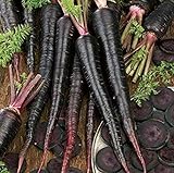 500+ Exotic Black Nebula Carrot Seeds to Grow - Daucus carota - Colorful Edible Vegetables. Made in USA photo / $7.98 ($0.02 / Count)