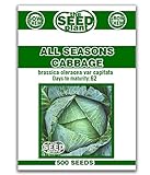 All Seasons Cabbage Seeds - 500 Seeds Non-GMO photo / 