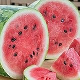 RattleFree Watermelon Seeds for Planting Heirloom and NonGMO Jubilee Watermelon Seeds to Plant in Home Gardens Full Planting Instructions on Each Planting Packet photo / $5.95