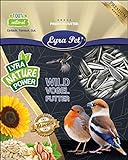 Lyra Pet® 20 kg Sonnenblumenkerne 20000 g gestreift Vogelfutter Wildvogel HK 1 Deutschland foto / 33,99 € (1,70 € / kg)