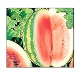 25 Crimson Sweet Watermelon Seeds | Non-GMO | Fresh Garden Seeds photo / $6.95