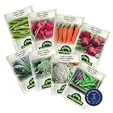 Organic Winter Vegetable Seeds, Heirloom Seed Set with Vegetable Seeds for Planting Home Garden, Includes Radish, Broccoli, Peas, Kale, Beets, Beans, Cauliflower, and Carrot Seeds - Môpet Marketplace photo / $12.99 ($12.99 / Count)