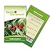 foto Erdbeerspinat Samen - Chenopodium foliosum - Erdbeerspinatsamen - Gemüsesamen - Saatgut für 200 Pflanzen