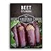 photo Survival Garden Seeds - Cylindra Beet Seed for Planting - Packet with Instructions to Plant and Grow Dark Red Beets in Your Home Vegetable Garden - Non-GMO Heirloom Variety
