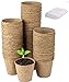 foto LATERN 100Pcs 8cm Macetas de Semillas de Fibra Biodegradable para Plántulas y Trasplantes con 100pcs Etiquetas de Plantas de Plástico (Blanco 5x1cm)