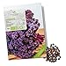 foto BIO Grünkohl Samen (Redbor) - Grünkohl Saatgut aus biologischem Anbau ideal für die Anzucht im Garten, Balkon oder Terrasse