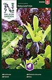 Salat Samen Mix Baby Leaf - Nelson Garden Gemüse Saatgut - Pflücksalat Samen (1120 Stück) (Salat, Baby Leaf mix, Einzelpackung) foto / 3,95 €