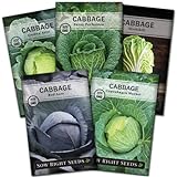 Sow Right Seeds - Cabbage Seed Collection for Planting - Savoy, Red Acre, Golden Acre, Copenhagen Market, and Michihili (Napa) Cabbages, Instructions to Plant and Grow a Non-GMO Heirloom Home Garden photo / $10.99