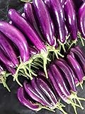 Eggplant Seeds for Planting | 250 Long Purple Eggplant Seeds to Plant Home Outdoor Garden | Heirloom & Non-GMO Vegetable Seeds | Buy in Bulk (1 Pack) photo / $6.95