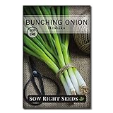 Sow Right Seeds - Heshiko Bunching Japanese Green Onion Seeds for Planting - Non-GMO Heirloom Seeds with Instructions to Plant and Grow a Kitchen Garden, Indoor or Outdoor; Great Gardening Gift photo / $5.99