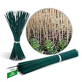 Novatool 100 varillas de madera de bambú, 70 cm x 6 mm, color verde, para plantas foto / 19,95 €