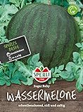 81550 Sperli Premium Wassermelone Samen Sugar Baby | Schnellwachsend | Melonen Samen | Wassermelonen Samen | Samen Wassermelone | Wassermelonen Pflanze | Mini Wassermelone foto / 4,53 €