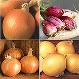 David's Garden Seeds Collection Set Onion Long-Day 9332 (Multi) 4 Varieties 800 Non-GMO, Open Pollinated Seeds photo / $16.95 ($4.24 / Count)