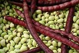 Purple Hull Pea Seeds for Planting - 250 Seeds photo / $13.97 ($0.06 / Count)