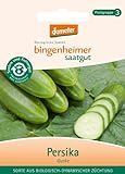 Bingenheimer Saatgut - Freilandgurke Persika - Gemüse Saatgut / Samen foto / 4,66 €