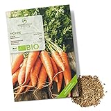 BIO Karotten Samen (Early Nantes) - Möhren Saatgut aus biologischem Anbau ideal für die Anzucht im Garten, Balkon oder Terrasse foto / 4,90 €
