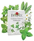 Burpee Culinary Classics Garden Collection 10 Packets of Non-GMO Chives, Cilantro, Basil, Sage, Thyme, Dill, Parsley, Chamomile, Marjoram & Oregano | Kitchen Herb Variety Pack, Seeds for Planting photo / $26.57