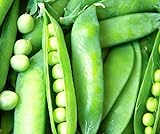 50 Lincoln Pea Seeds | Non-GMO | Fresh Garden Seeds photo / $6.95