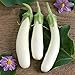 photo David's Garden Seeds Eggplant Casper 3411 (White) 50 Non-GMO, Open Pollinated Seeds