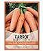 photo Carrot Seeds for Planting - Scarlet Nantes - Daucus Carota - is A Great Heirloom, Non-GMO Vegetable Variety- 2 Grams Seeds Great for Outdoor Spring, Winter and Fall Gardening by Gardeners Basics