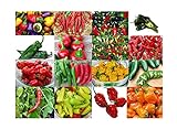 Please Read! This is A Mix!!! 30+ Hot Pepper Mix Seeds, 16 Varieties Heirloom Non-GMO Habanero, Tabasco, Jalapeno, Yellow and Red Scotch Bonnet, Ships from USA! US Grown. photo / $5.69
