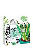 Undergreen by Compo Green Shot, Kur für Grünpflanzen und Palmen, Aufbaukur, 5 Ampullen je 30 ml, Transparent foto / 6,74 € (224,67 € / l)