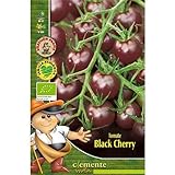 Semillas ecológicas de Tomate Black Cherry foto / 4,42 €