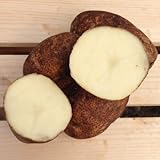 Russet Burbank Seed Potatoes, 5 lbs. (Certified) photo / $15.79 ($0.20 / Ounce)