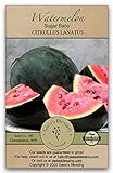 Gaea's Blessing Seeds - Sugar Baby Watermelon Seeds (3.0g) Non-GMO Seeds with Easy to Follow Planting Instructions - Heirloom 94% Germination Rate photo / $4.99