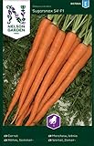 Möhren Samen Sugarsnax 54 F1 - Nelson Garden Gemüse Saatgut - Karotten Samen (300 Stück) (Möhre, Sommer-, Sugarsnax 54 F1, Einzelpackung) foto / 3,45 €