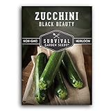 Survival Garden Seeds - Black Beauty Zucchini Seed for Planting - Pack with Instructions to Plant and Grow Dark Green Zucchini in Your Home Vegetable Garden - Non-GMO Heirloom Variety - 1 Pack photo / $4.99