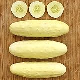 Silver Slicer Cucumber Seeds (25+ Seeds)(More Heirloom, Organic, Non GMO, Vegetable, Fruit, Herb, Flower Garden Seeds (25+ Seeds) at Seed King Express) photo / $3.69