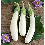 White Princess (F1) Eggplant Seeds (30+ Seed Package) photo / $4.19
