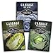 photo Cabbage Collection Seed Vault - Non-GMO Heirloom Survival Garden Seeds for Planting - Red Acre, Golden Acres, and Michihili (Napa) Cabbage Seed Packets to Grow Your Own Healthy Cruciferous Vegetables