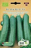 Germisem Orgánica Black Beauty Semillas de Calabacín 3 g foto / 3,99 €