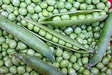 Willet's Wonder English Pea - Very Prolific and Tasty! Green Sweet Peas!!!!Mmmmm(100 - Seeds) photo / $7.69 ($0.08 / Count)