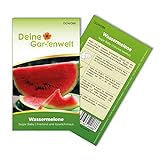 Wassermelonen Sugar Baby Samen - Citrullus lanatus - Wassermelonensamen - Obstsamen - Saatgut für 10 Pflanzen foto / 1,99 € (0,20 € / stück)