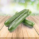 Zucchini 25 x Samen - Aus Portugal 100% Natürlich Ohne Chemische Anzuchthilfe Oder Gentechnik, Einfach Nur Natur Pur foto / 2,29 € (0,09 € / stück)